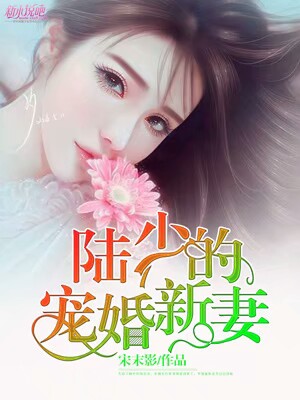 陆少暖婚新妻全文免费阅读最新章节