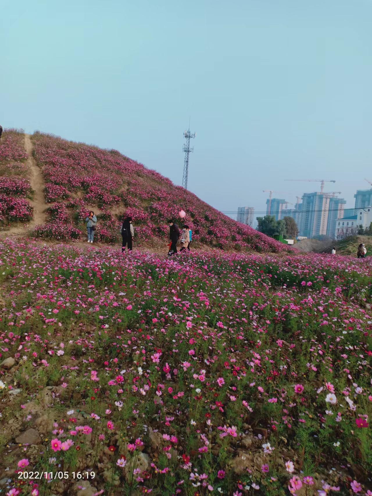 保定西部规划方案揭晓，塑造未来城市新面貌