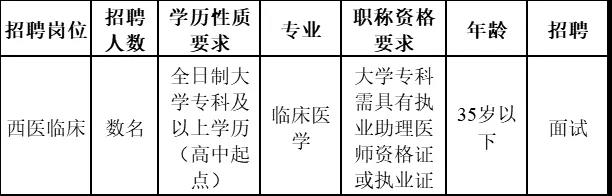 文山医院最新招聘信息详解与相关内容探讨