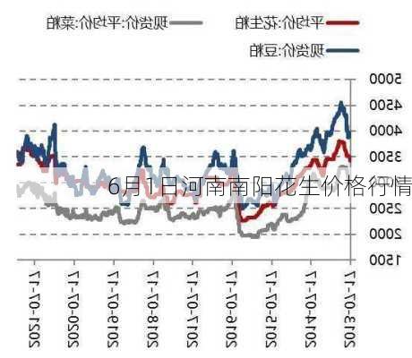 河南花生最新收购价格动态解析