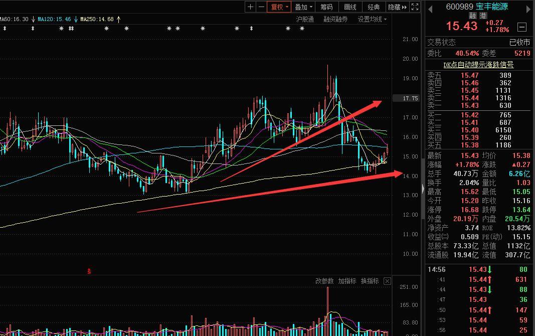 宝丰能源招聘信息与职业机会深度探讨