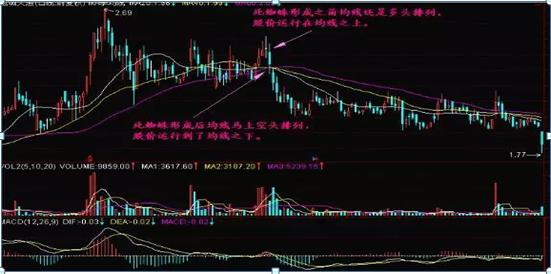 金蜘蛛最新招聘信息全面解析