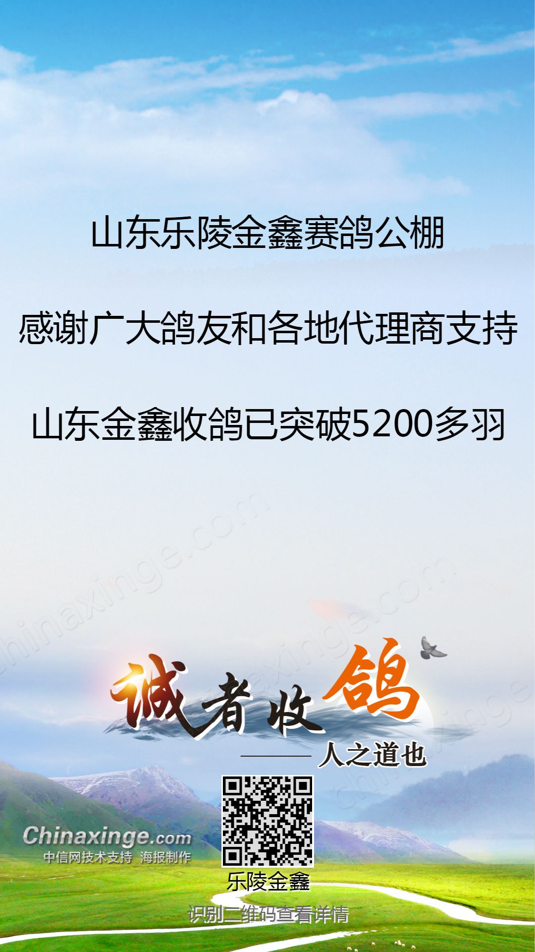 乐陵金鑫公棚最新公告全面解析