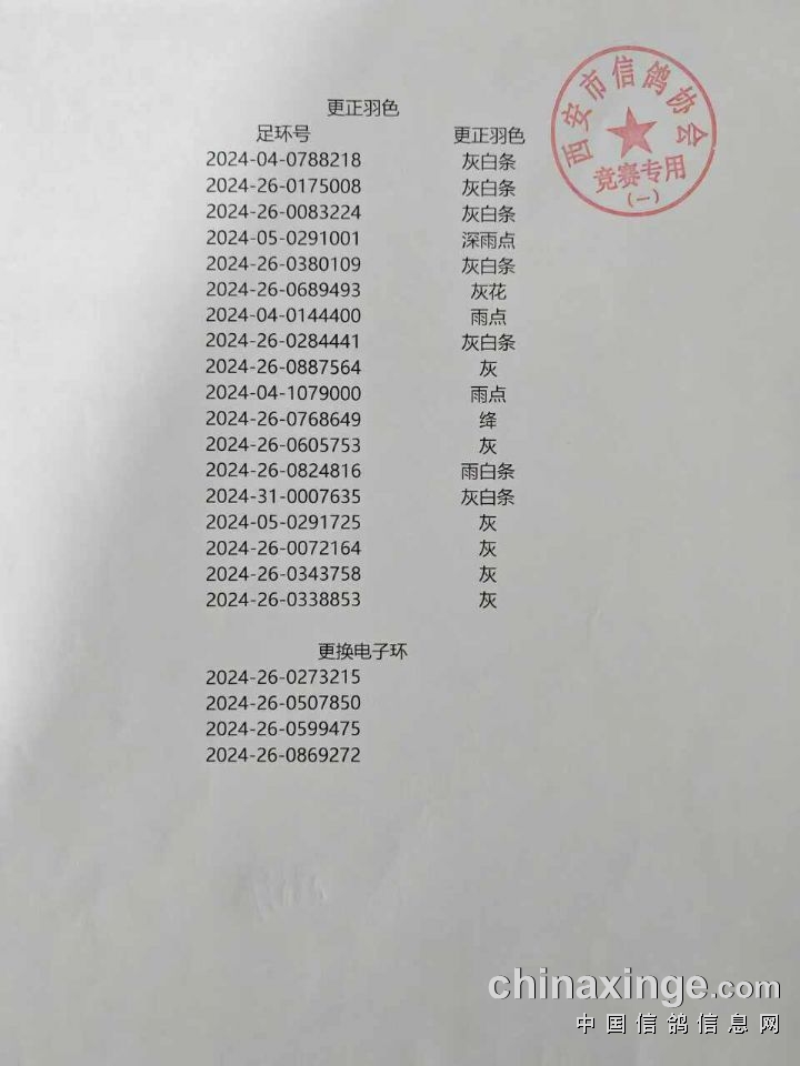 藁城信鸽协会最新公告，未来规划与重要更新揭秘