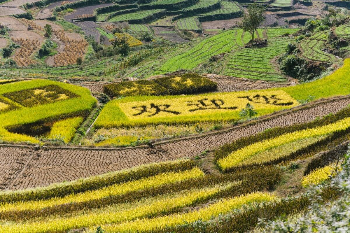 绍兴人游绍兴免费景区最新动态概览