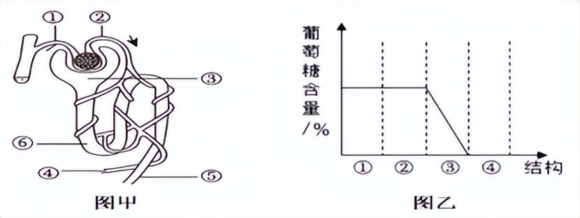 河北乙连生物引领行业前沿，开启发展新篇章的最新消息