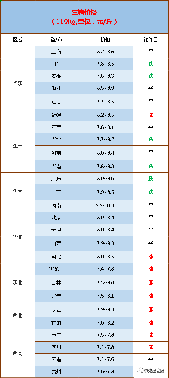 最新猪价行情分析与展望，价格走势及未来趋势解析