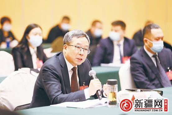 何新两会最新发言聚焦热点，推动社会进步再提速