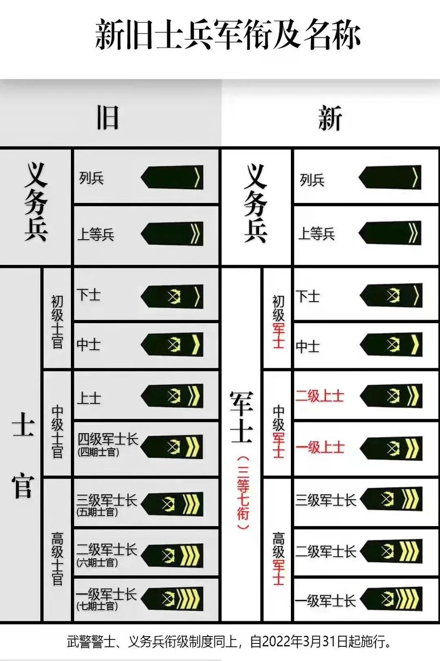 士官文职改革最新动态及其深远影响