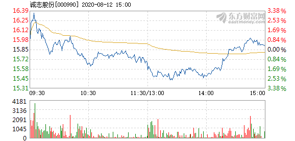 诚志股份增发最新消息全面解析