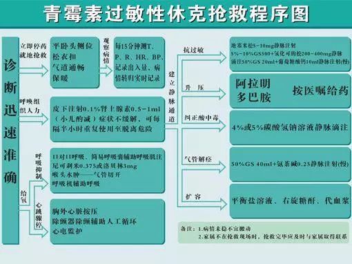 急诊抢救流程图优化，提升急救服务效率与抢救成功率