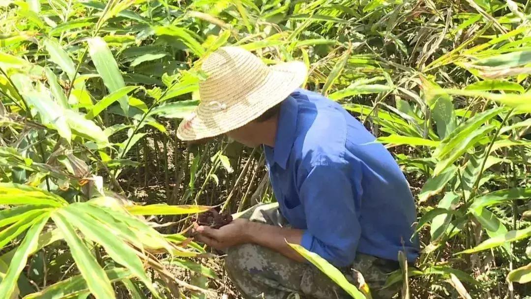 屏边苗族自治县公路运输管理事业单位领导团队概况