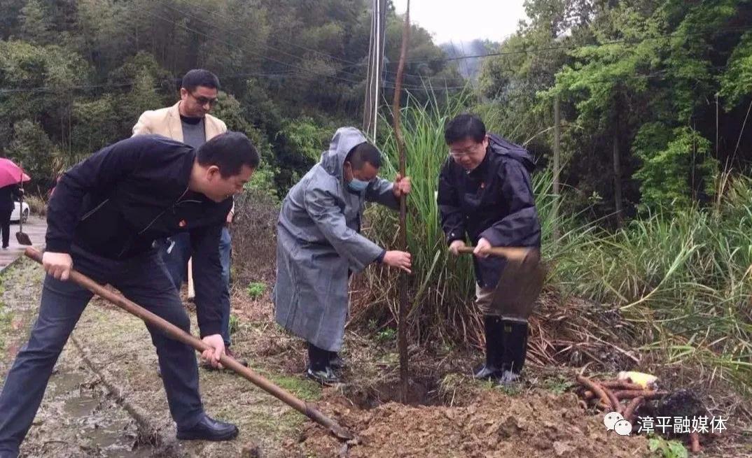 冷雨葬花 第3页