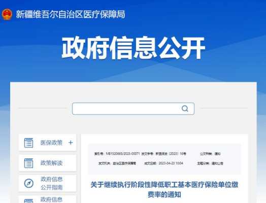 昌吉市医疗保障局最新项目概览与动态分析