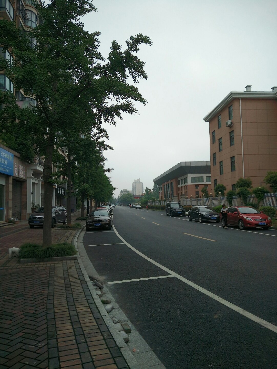 浣东街道天气预报更新通知