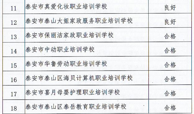 泰山区级托养福利事业单位最新项目，构建全方位托养服务体系