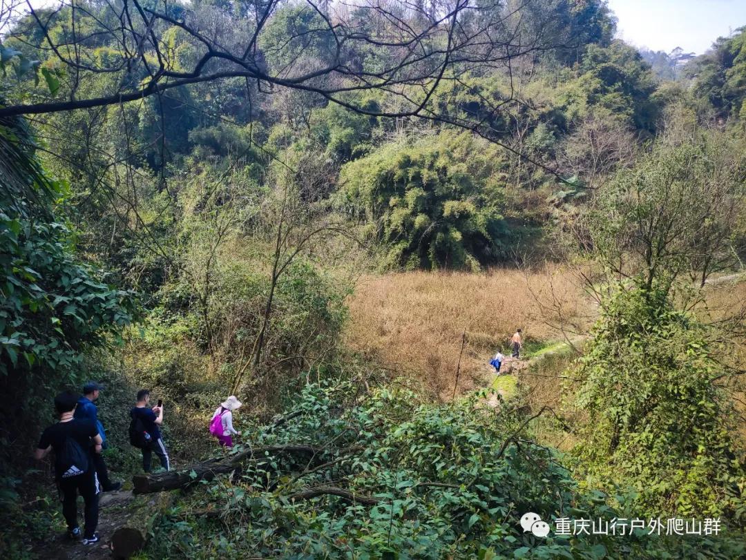 百胜村重塑乡村面貌，推动可持续发展新规划