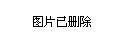 2024年12月5日 第53页