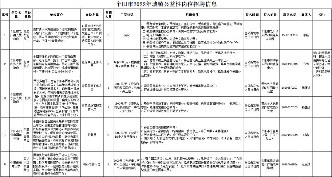 个旧市初中最新招聘公告概览