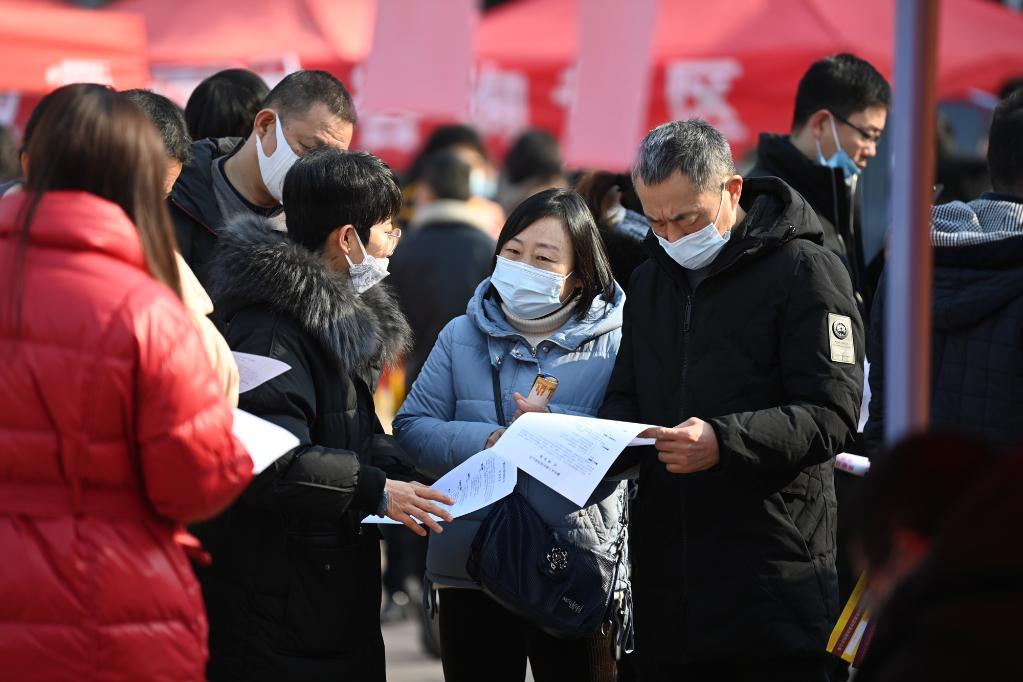 樊城区人社局最新项目，助力区域经济发展与民生福祉提升