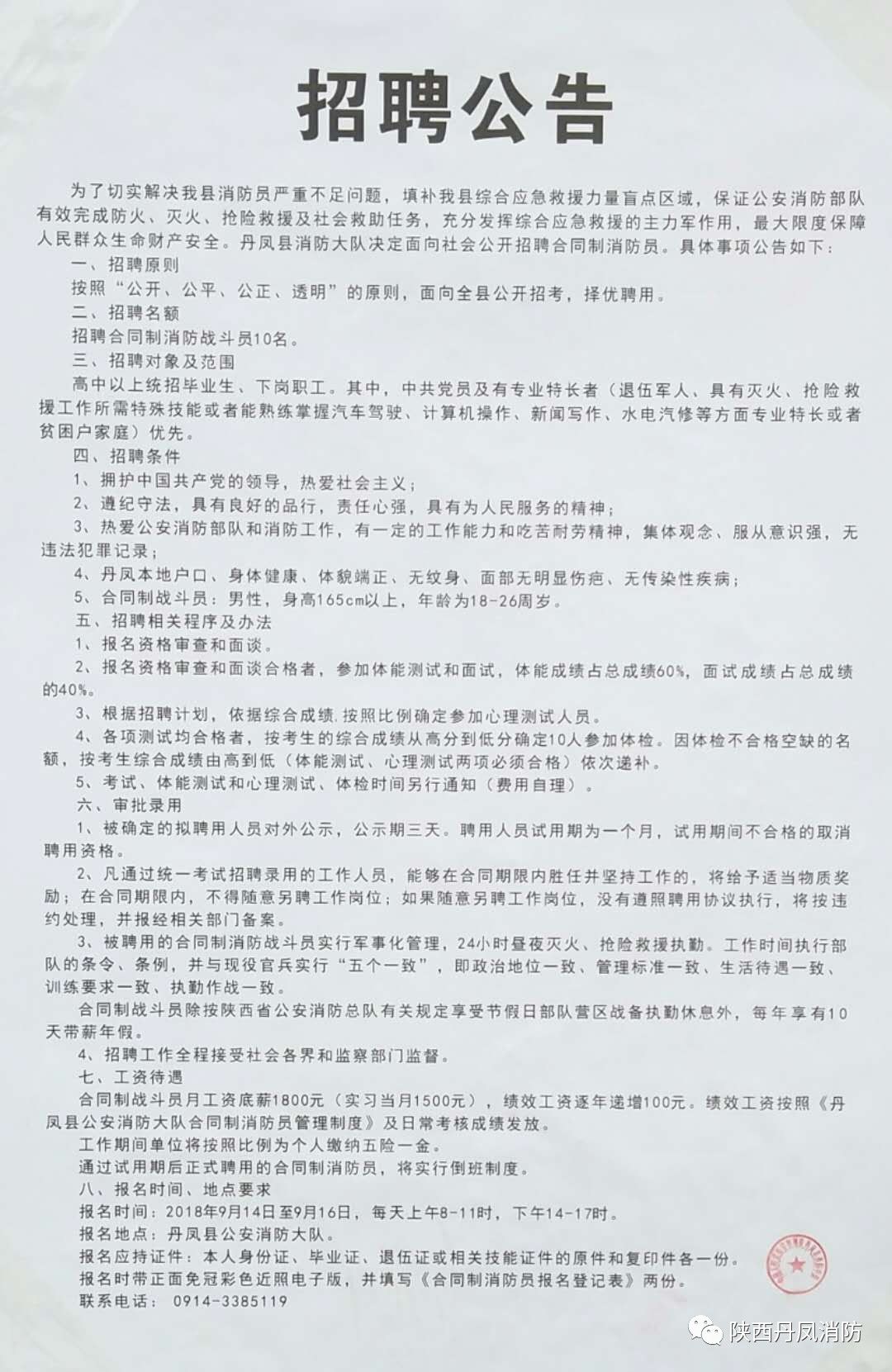 程委镇最新招聘信息全面解析