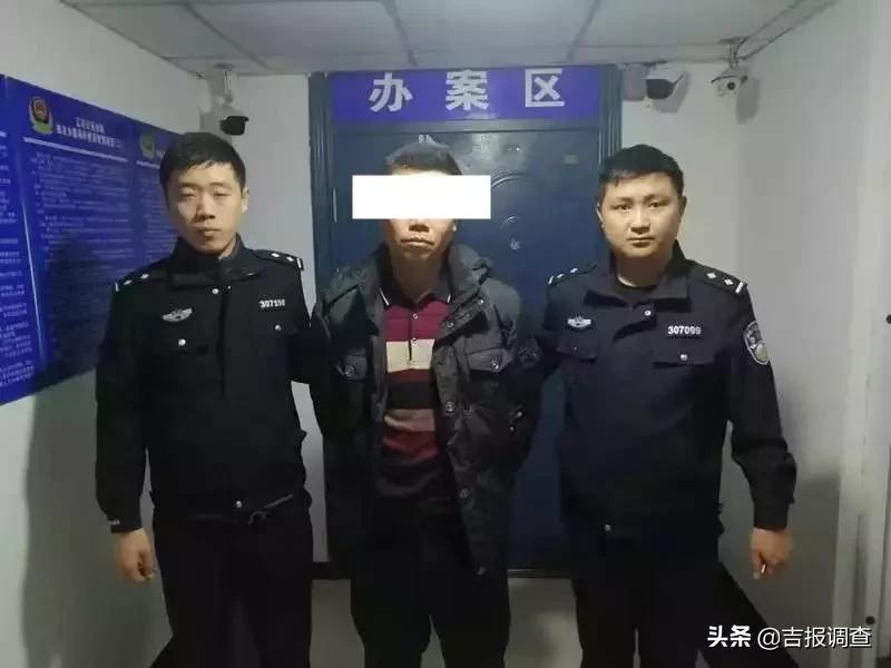 辽河农场最新招聘启事概览