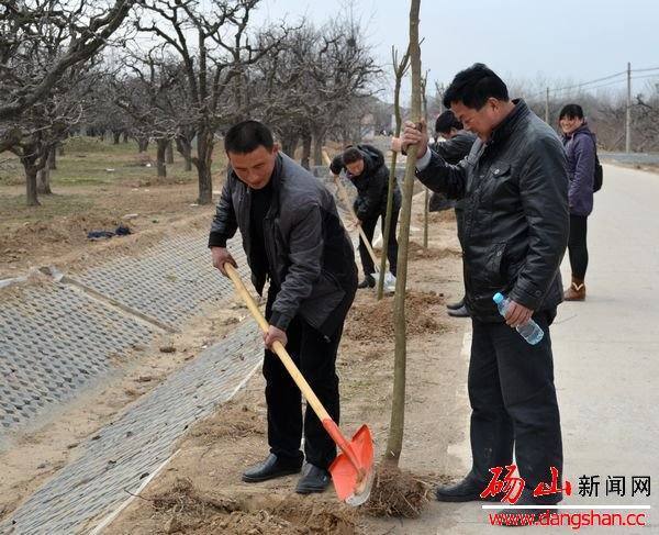 良梨镇新星项目，引领地区发展的领头羊