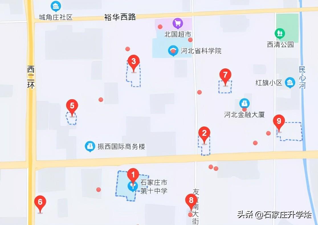 阳明区小学最新动态报道