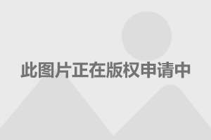 新胜乡发展动态速递，最新新闻综述与社会亮点回顾