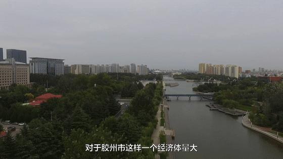 胶州市审计局最新招聘信息全面解析