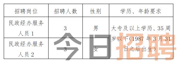 裕民县民政局最新招聘信息概览