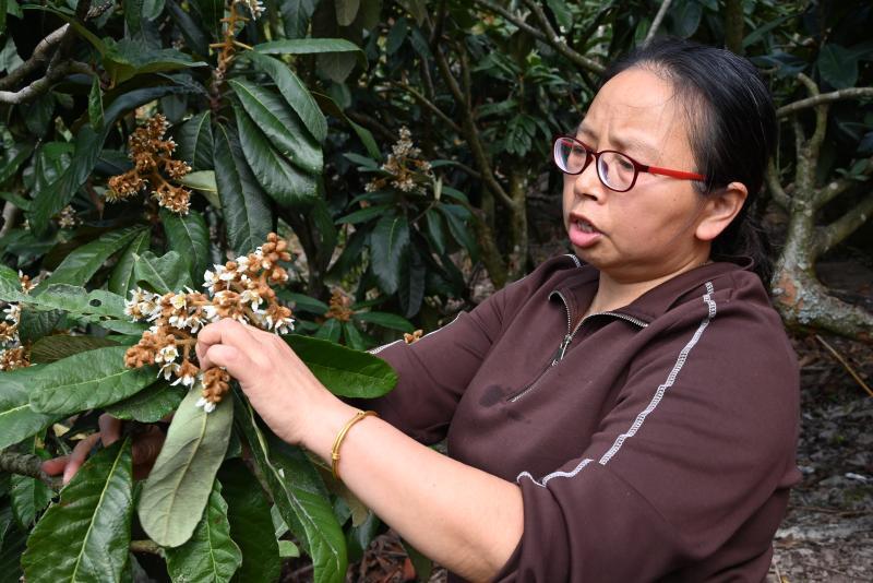 果树示范场新领导引领下的变革与发展概览