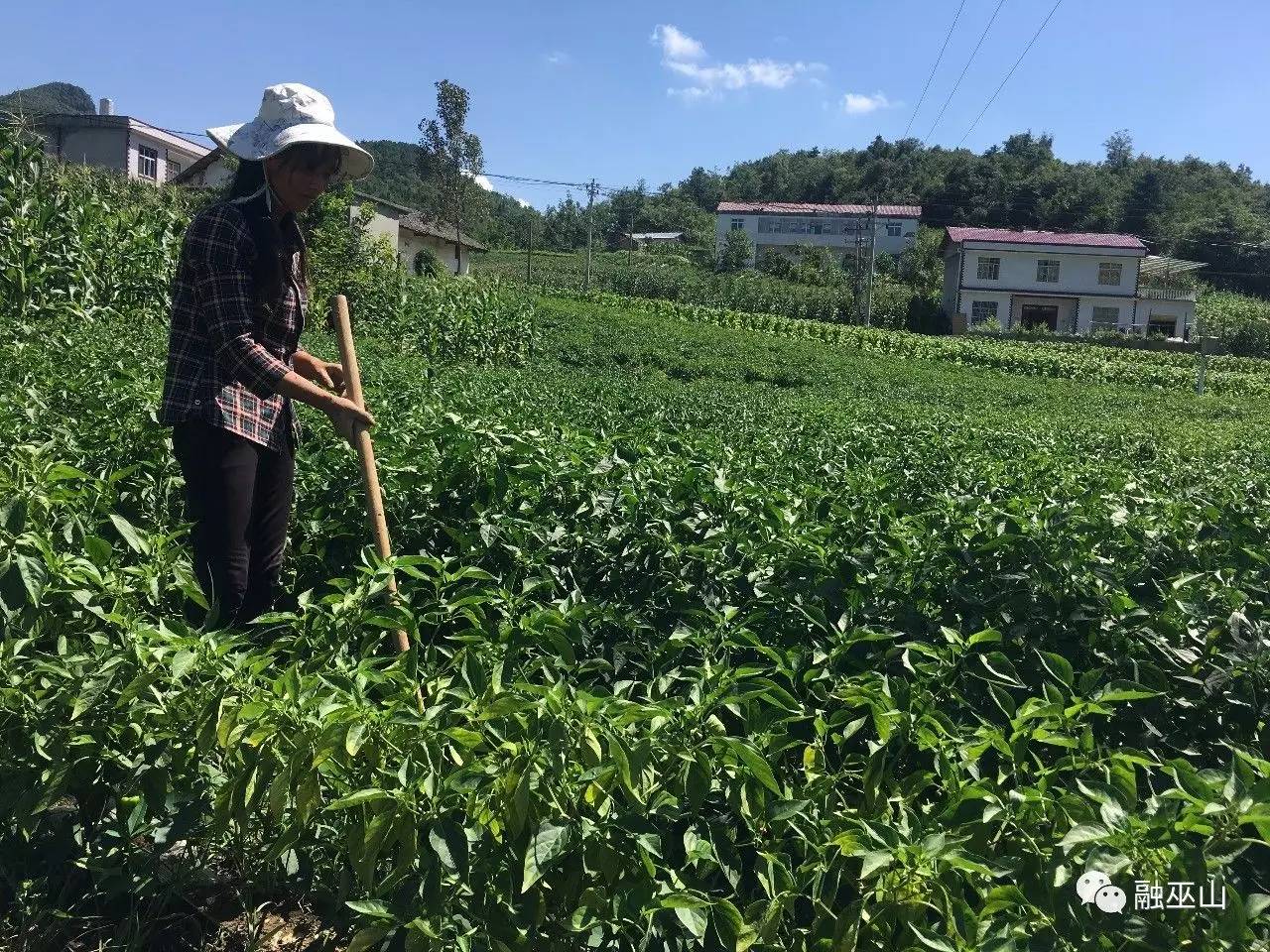 邓家土家族乡最新消息速递