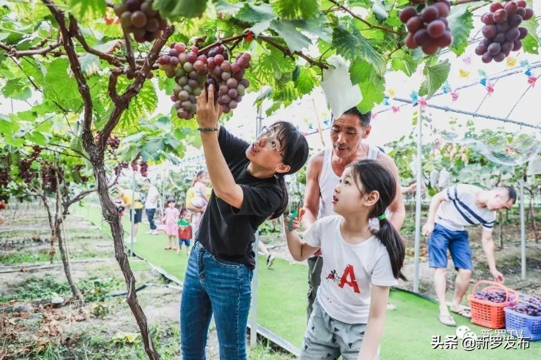 曹溪街道交通新闻更新