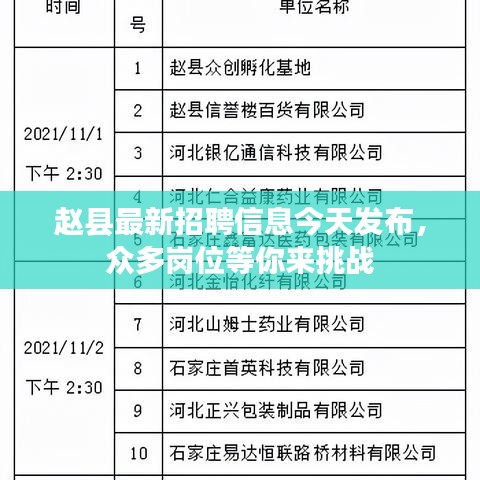 赵官镇最新招聘信息全面解析