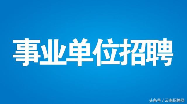 东兴市交通运输局招聘启事概览