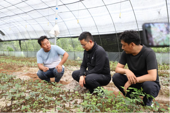 达木珞巴民族乡最新项目，推动地方发展，传承民族文化