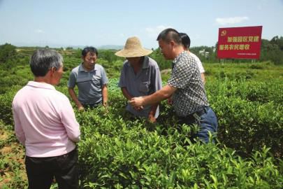 木门镇领导团队引领未来，塑造新篇章