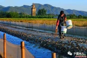 宁都县农业农村局最新招聘信息概述