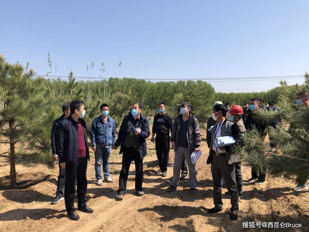 窑街矿务局民勤林场最新动态报道