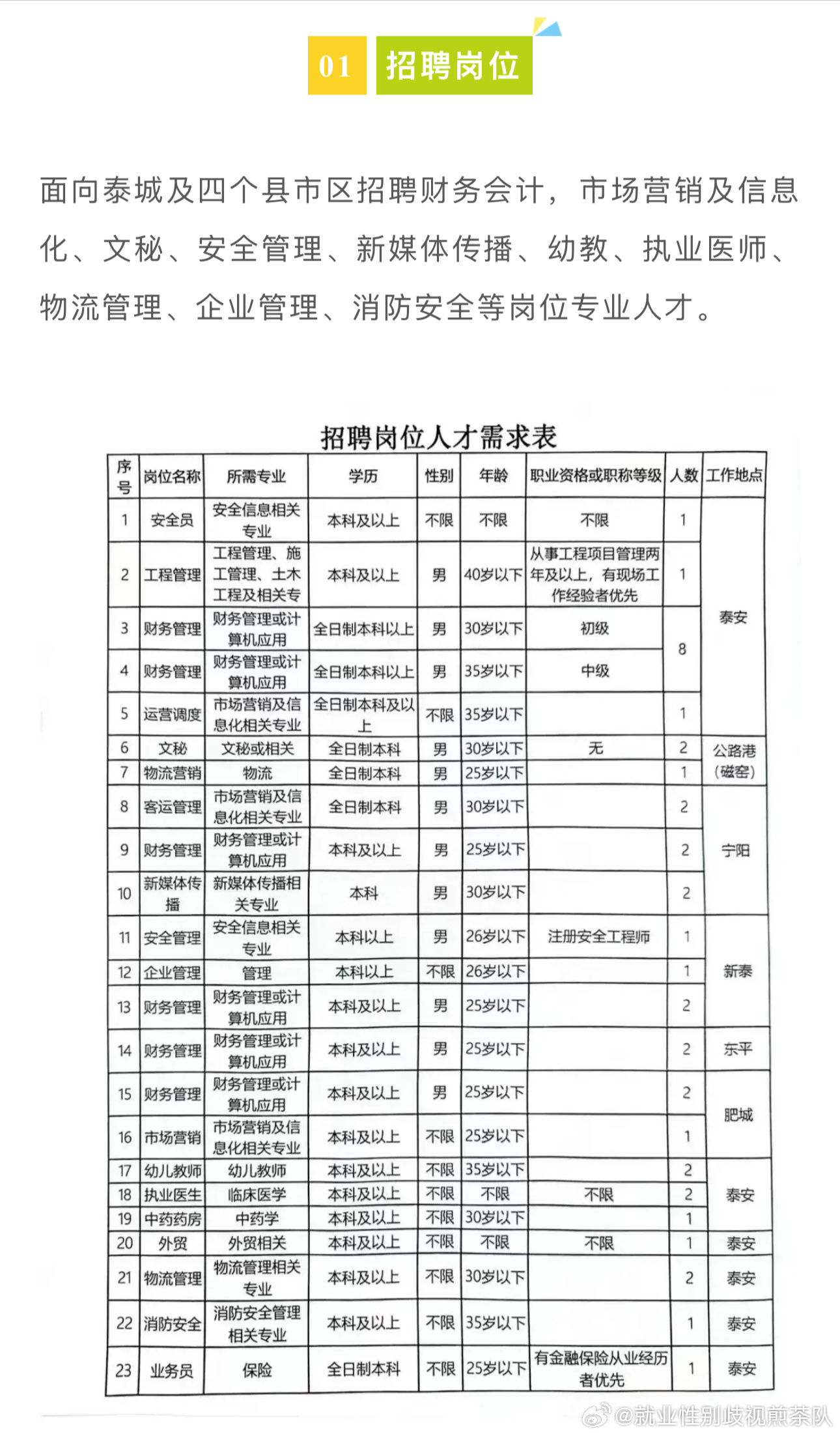 镇安县自然资源和规划局最新招聘公告解析