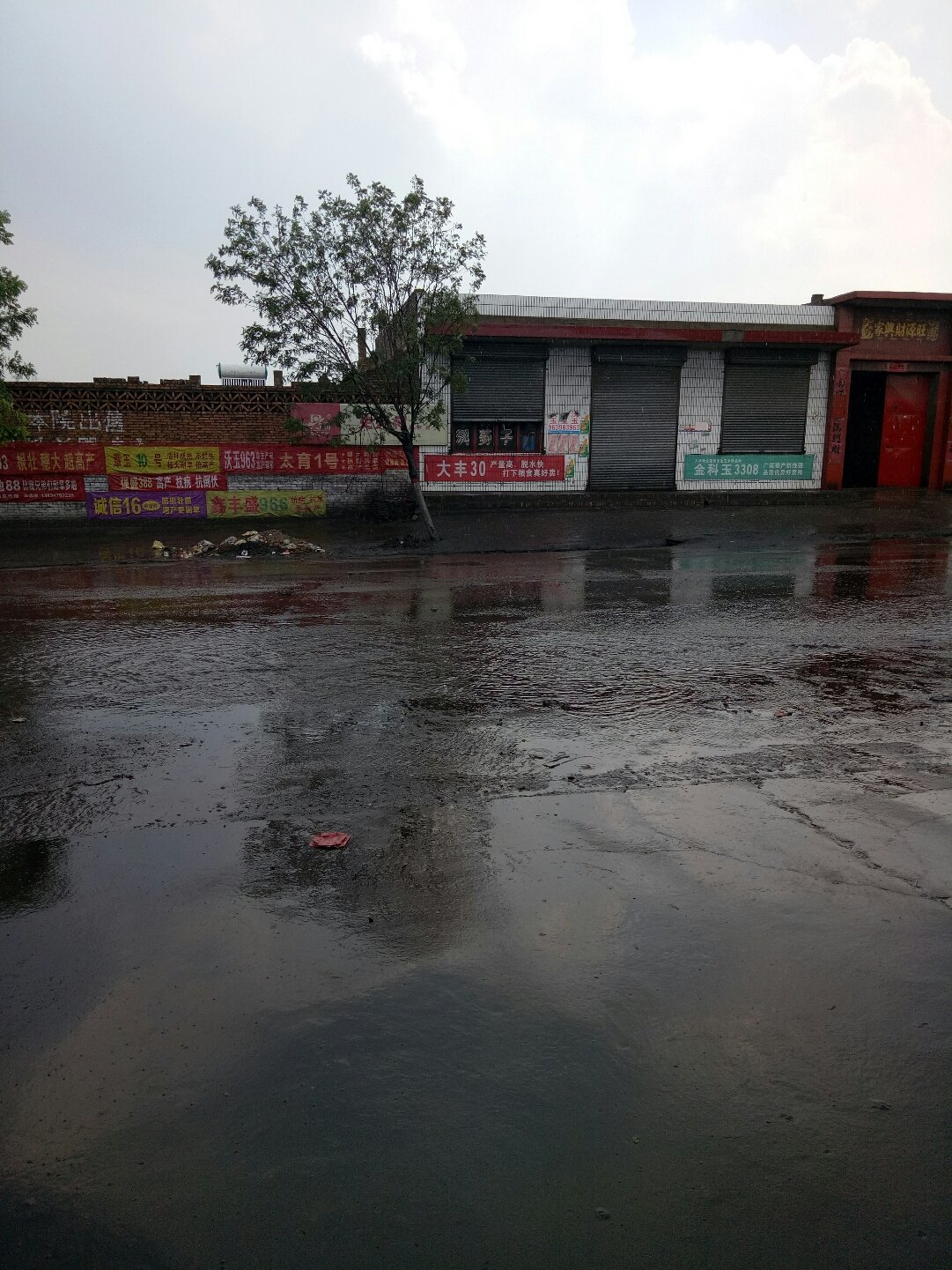 春风化雨