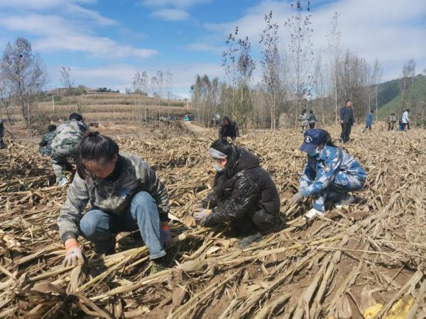 安泽县财政局新项目助力县域经济高质量发展