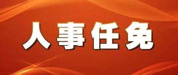 夏通街居委会人事任命揭晓，重塑社区未来新篇章