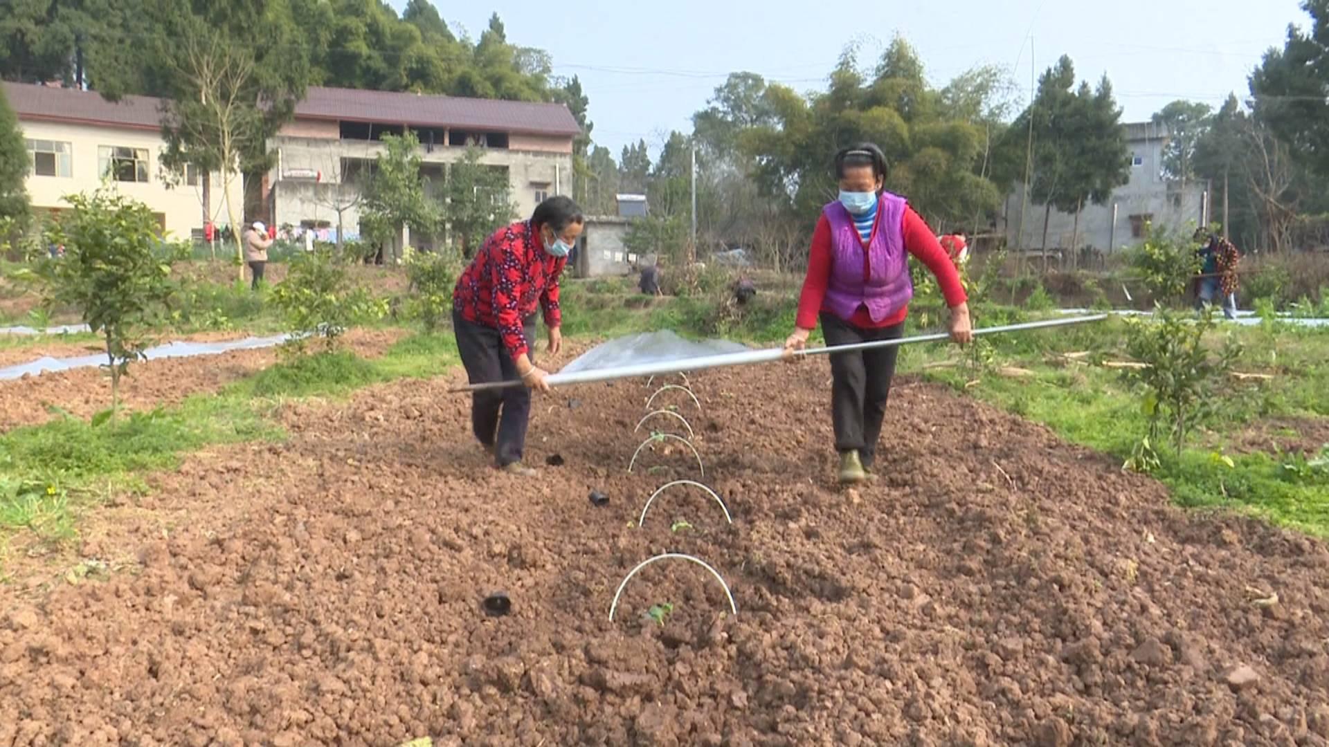 单县公路运输管理事业单位最新项目概览，全面解读事业单位最新动态