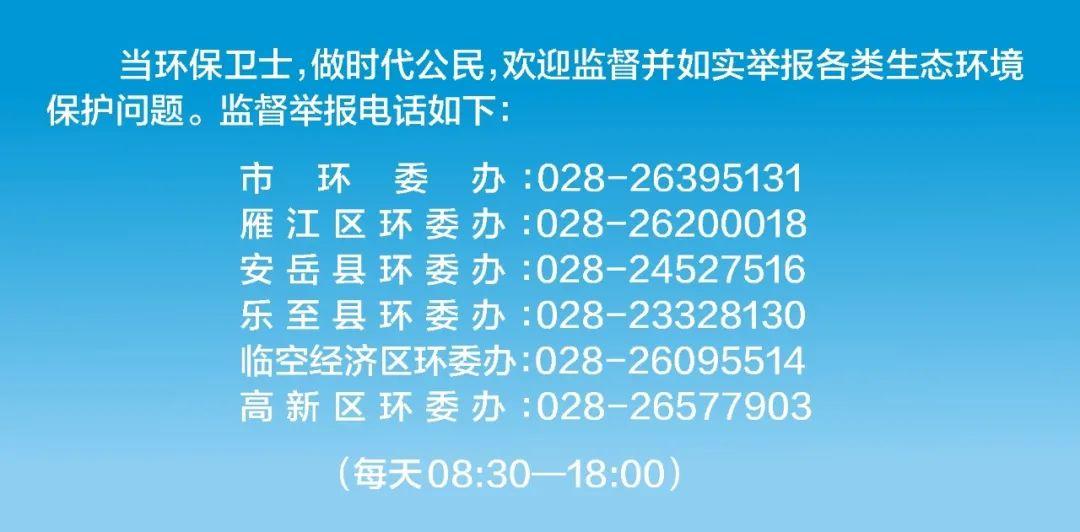 安岳县人力资源和社会保障局最新招聘信息全面解析