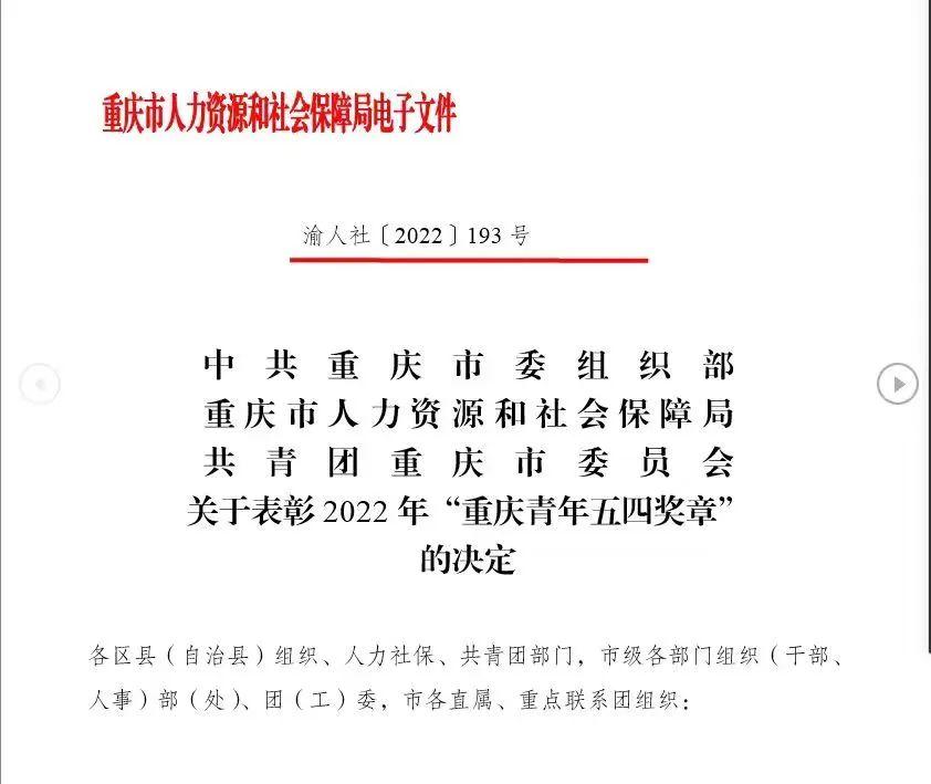 南岸区人力资源和社会保障局最新招聘信息全面解析