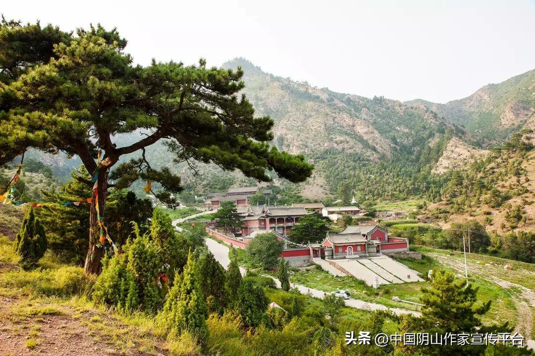 喇嘛洞镇未来繁荣蓝图，最新发展规划揭秘