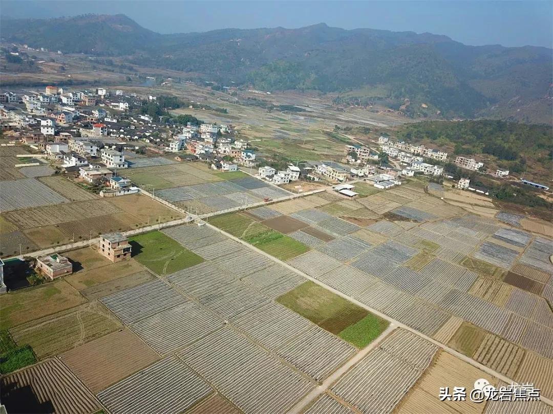 清流县农业农村局最新发展规划概览