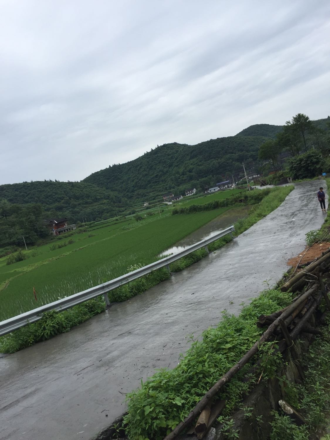 靳家山村委会天气预报更新通知